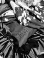 20230613_114745.jpg